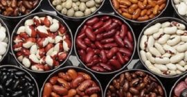 Sprzedaż hurtowa fasoli. Kup fasolę. Bins Naturproduct to ukraińska