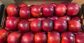 Naszykuje w dowolne opakowanie kupującego: Prince