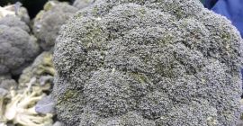każda sztuka Brocoli to 500 gramów od 1 kg,