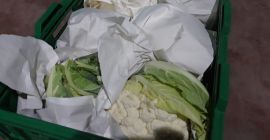 Produkty bio 500 gramów 1,0 kg #Mr. Orhan Veli