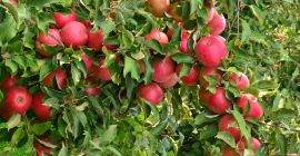 E-mail na xkappa97@gmail.com