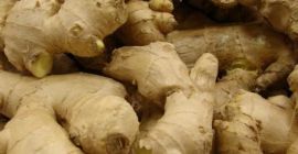 Świeży imbir z Madagaskaru (BIO) Rozmiar: 50, 60,70,80,100 g
