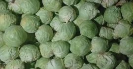 Prodavam zele kyuse i tvirdo, aby uzyskać więcej informacji,