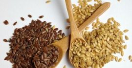 Skupujemy len, sorgo, proso, fasolę przez cały rok. -