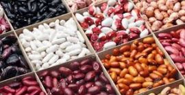 Kup fasolę. Sprzedam fasolę Fasola hurtowo. Oferujemy kupno fasoli