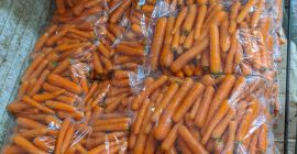 Sprzedajemy marchew świeżą I klasy pakowaną w worki foliowe
