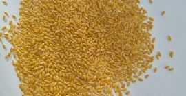 99,9% złocisty len,