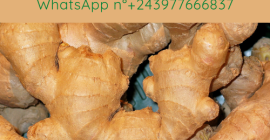 Organiczny i wysokiej jakości Imbir prosto z wiejskich farm