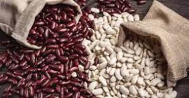 Sprzedaż hurtowa fasoli w asortymencie. Bins Natur Produkt oferuje