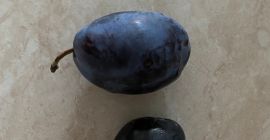 Stanley Plum Bezpośrednio od producenta sprzedajemy duże ilości odmian