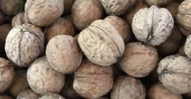 Kupię Orzech Cały od 500 kg. Cały Orzech od