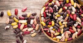 Bins Natur Product zajmuje się sprzedażą fasoli uprawianej na