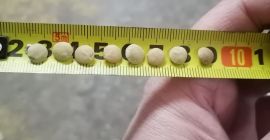 Sprzedam Soczewicę Zieloną, pakowanie w Big Bagi lub worki