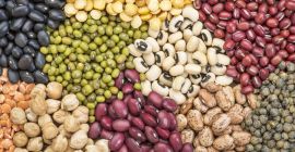 Sprzedaż hurtowa fasoli. Sprzedaż fasoli. Bins Natur Produkt sprzedaje