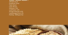 Pszenica GMO i Non GMO Grade A Pochodzenie: USA