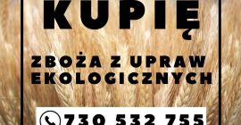 SKUPUJEMY ZBOŻA EKOLOGICZNE W AMF Life wiemy, że jakość