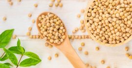 SPECYFIKACJA: SOJA GMO Wilgotność: 14% max. Organoleptyczny: czysty i