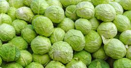 Lokalizacja : Turcja min. Purc. Popr. : 2000 kg