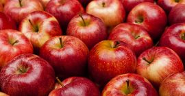 Kolor: czerwony min. Purc. Waga: 2000 kg Lokalizacja: Amasya