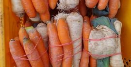 Włoszczyzna świeża 1kg. ± 100g Przygotowywana na bieżąco zawsze