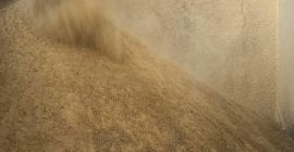 Dzień dobry, skupujemy ziarno soi NON-GMO przez cały rok,