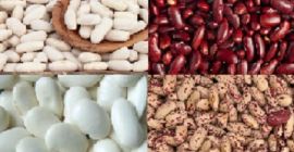 Fasola Natur Product zajmuje się sprzedażą wysokiej jakości fasoli