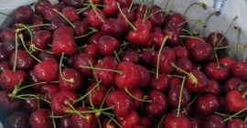 Drodzy Feinds , Proponuję Wam świeżą wiśnię w porównywalnej