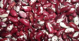 Fasola Natur Product prowadzi sprzedaż wysokiej jakości ziaren w