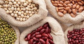 Ukraińska firma Beans Natur Product sprzedaje fasolę w różnych
