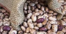 Ukraińska firma Beans Natur Product sprzedaje fasolę w różnych