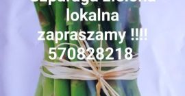 Sprzedam szparagi zielone z własnego gospodarstwa. Zapraszamy do zakupu
