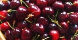 Sprzedajemy wiśnie produkowane w Bułgarii, region Kiustendil. Oferta rusza