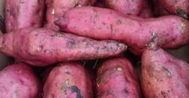 Mamy truskawki, winogrona, cebulę, pomarańcze, cytrynę, limonkę, czosnek, imbir,