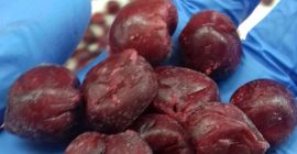 IQF drylowane bio i konwencjonalne wiśnie . Wysokiej jakości