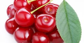 Sprzedam świeże wiśnie. Odmiana Oblacinska, najlepsza odmiana serbskiej wiśni.