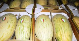 Drodzy przyjaciele, proponuję Wam słodkiego melona z Uzbekistanu w
