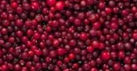 Mrożona czerwona porzeczka (żurawina). Klasa A Aronia czarna dziko