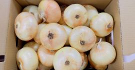 Zapraszam do współpracy, stała współpraca dostawy cało samochodowe 24tony