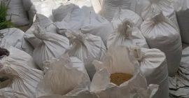Oferujemy sprzedaż ziaren soi dla klientów o wysokich wymaganiach