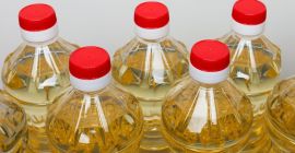 Oferujemy bezpośredni produkt fabryczny. Pochodzenie północnoeuropejskie. Produkt 100% Nasiona