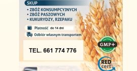 Skupujemy żyto, pszenżyto, jęczmień, pszenicę, owies, kukurydzę oraz rzepak, groch, soję, łubin, bobik i słonecznik. Odbieramy towar własnym transportem z gospodarstwa/magazynu sprzedającego oraz zapewniamy szybki odbiór i płatność do 14 dni. 

Kontakt: tel. 661 774 776

TRANSROL LESZNO ponad 20 lat na rynku.