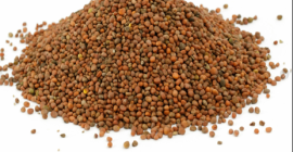 Oferujemy wysokiej jakości zboża (Lucerna, Kostrzewa, SainfoinЮ, Życica, Koniczyna,