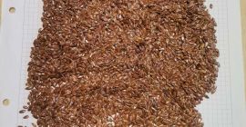 Oferujemy do sprzedaży na Ukrainie własną produkcję kukurydzy. Rozważamy