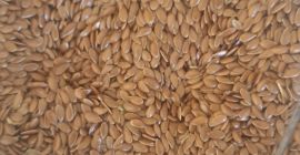 Siemię lniane, plon 2022. Wilgotność 5-0,5%, najwyższa jakość!!!