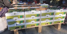 20 palet w kontenerze Każda paleta ma 288 pudełek