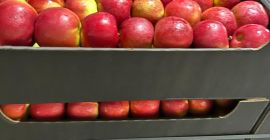 Eksportujemy jabłka do europejskich sieci superkarket&oacute;w oraz importer&oacute;w. Nawiążemy