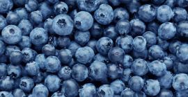 Sprzedam jagodę ECO Jesteśmy z Macedonii, aby uzyskać więcej