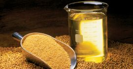 Olej sojowy bez GMO. Jesteśmy fermą drobiu z Tarnopola