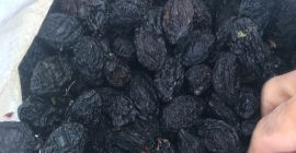 Potrzebujemy 300 ton suszonych śliwek duże rozmiary niska wilgotność