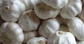 Wietnam Wysokiej jakości świeży/mrożony czosnek 100% naturalny ekologiczny Rodzaj